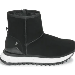 Gioseppo - AMQUI Noir