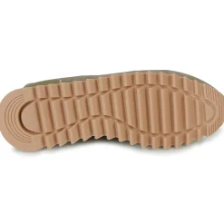 Outlet Gioseppo - ECKERO Marron