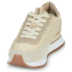 New Gioseppo - GAGGI