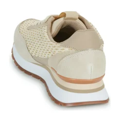 New Gioseppo - GAGGI