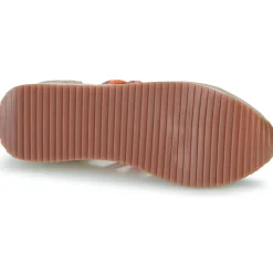 Gioseppo - IONA Online