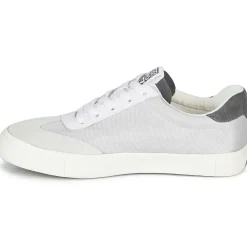 Clearance Gioseppo - KANPUR