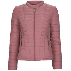 Hot Guess - VONA JACKET Rose