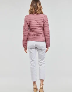 Hot Guess - VONA JACKET Rose