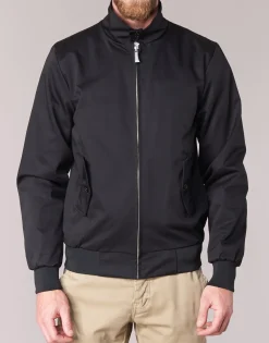 Harrington - PAULO Noir Hot
