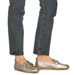 Hot Hispanitas - BOMBAY-HV254027 Champagne