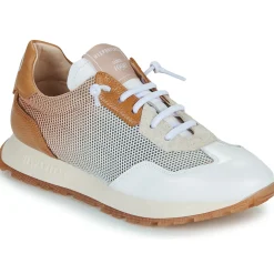 Hispanitas - KANSAS-BHV25386