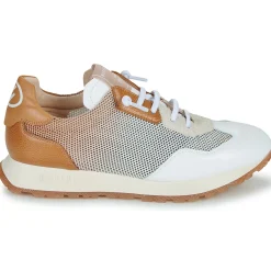 Hispanitas - KANSAS-BHV25386