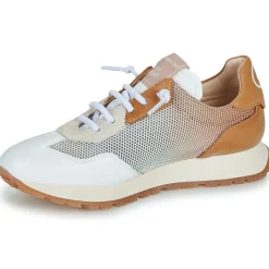 Hispanitas - KANSAS-BHV25386