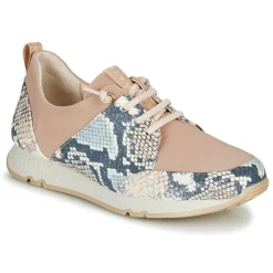 Clearance Hispanitas - KIOTO