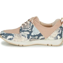 Clearance Hispanitas - KIOTO