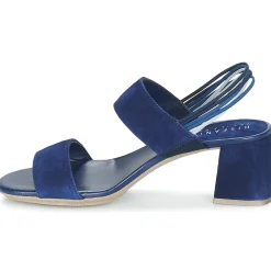 Hispanitas - NEREA Marine Sale