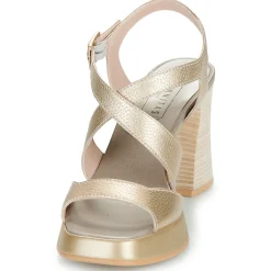 Hispanitas - TAHITI 2