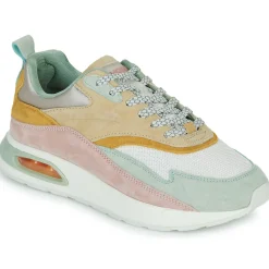 HOFF - GRIFFITH Discount