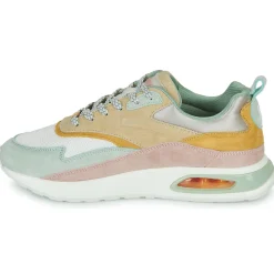 HOFF - GRIFFITH Discount