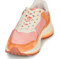 Discount HOFF - PARIS II