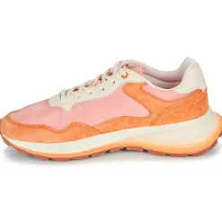 Discount HOFF - PARIS II