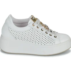 IgI&CO - D.ALLY Blanc