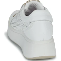 IgI&CO - D.ALLY Blanc