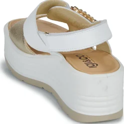 IgI&CO - D.CLEA Sale