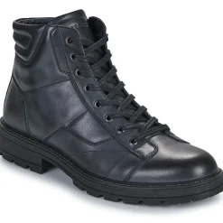 IgI&CO - U.CONRAD Noir