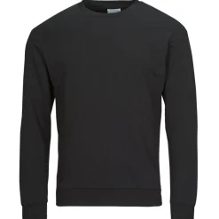 Jack & Jones - JJEBRADLEY SWEAT CREW