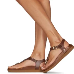 Online JB Martin - ALEO BUFFLECAMEL