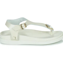 JB Martin - ALEO BUFFLEOFFWHITE