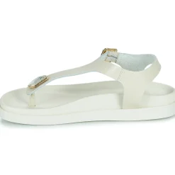 JB Martin - ALEO BUFFLEOFFWHITE