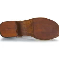 JB Martin - APPLE Discount