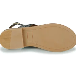 JB Martin - ARTISTE VEAUNOIR