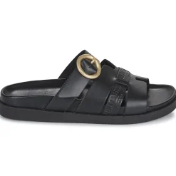 New JB Martin - AUBE Veaunoir