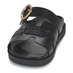 New JB Martin - AUBE Veaunoir