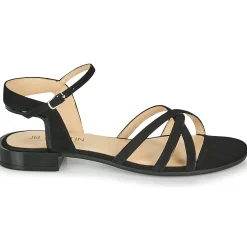 Clearance JB Martin - BAOLI Noir