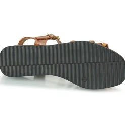 JB Martin - DAPHNE VEAUORANGE New