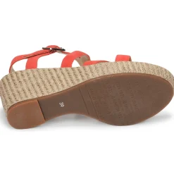 New JB Martin - DARELO Sunlight