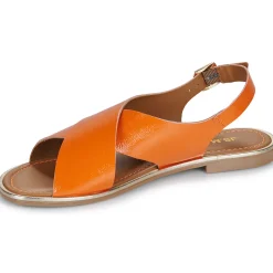 New JB Martin - DUTA VERNISORANGE