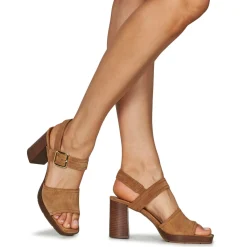 JB Martin - DYNAS Croûtecamel Discount