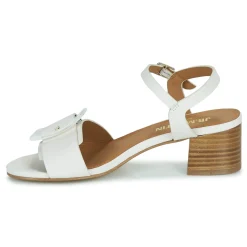 JB Martin - ELIANE NAPPACRAIE New