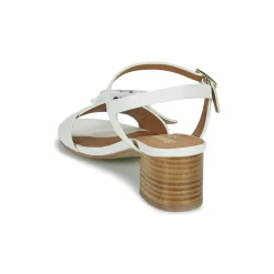 JB Martin - ELIANE NAPPACRAIE New