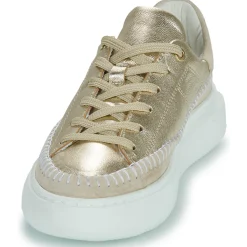 JB Martin - FLEUR Outlet