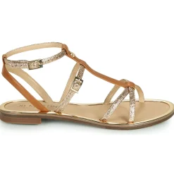 JB Martin - GRIOTTES