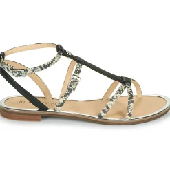 JB Martin - GRIOTTES Discount