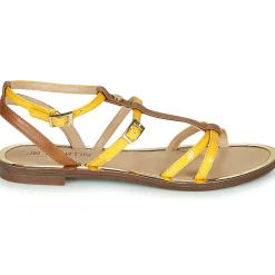 JB Martin - GRIOTTES Discount