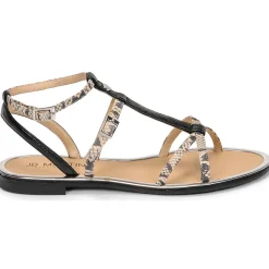 JB Martin - GRIOTTES