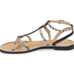 JB Martin - GRIOTTES