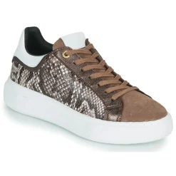 Hot JB Martin - HIBISCUS MIXPYTHONMARRON