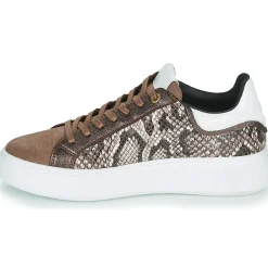 Hot JB Martin - HIBISCUS MIXPYTHONMARRON