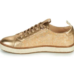 JB Martin - INAYA Doré New