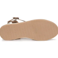 Hot JB Martin - JENS Cuivre